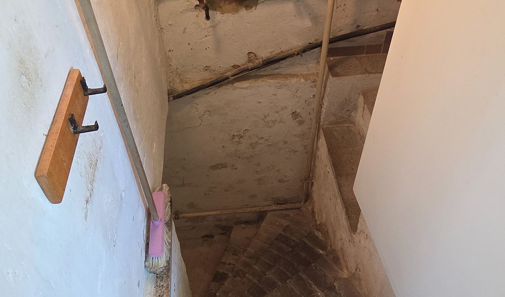 Prodej domu 90 m² s pozemkem 290 m², Plzeň – náhled fotky 33