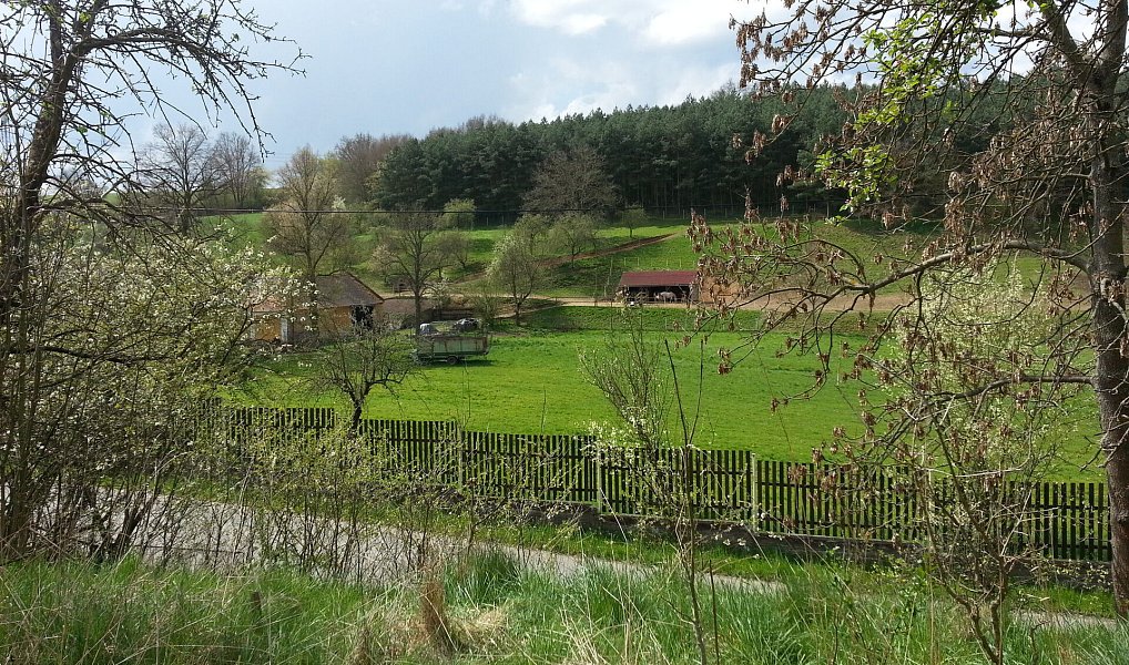 Prodej stavebního pozemku 4 736 m², Sedlčany – náhled fotky 9