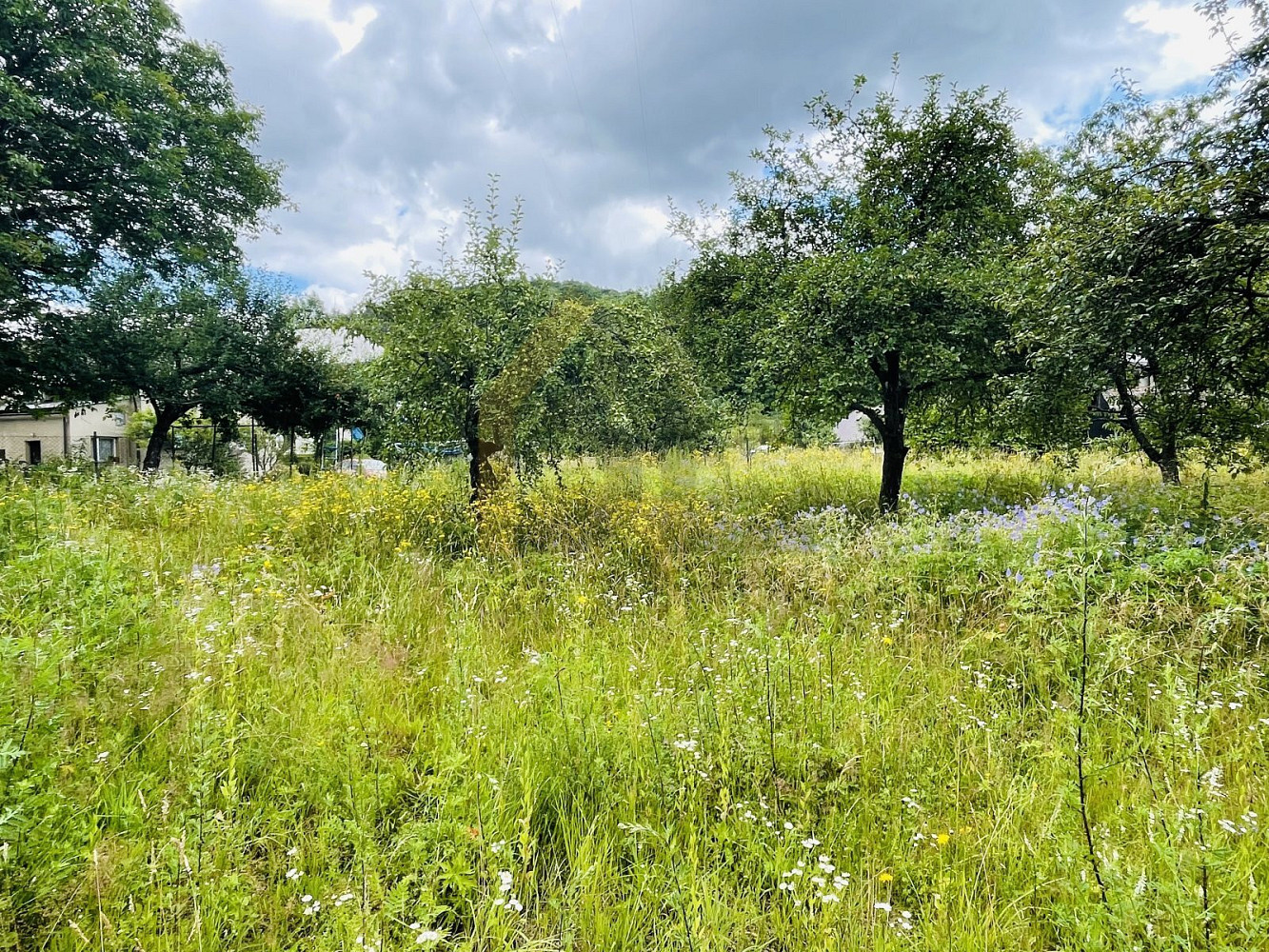 Fotka 11 z 12