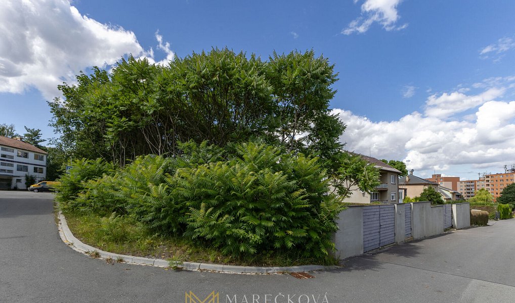 Prodej stavebního pozemku 1 251 m², Zlaté Hory – náhled fotky 17