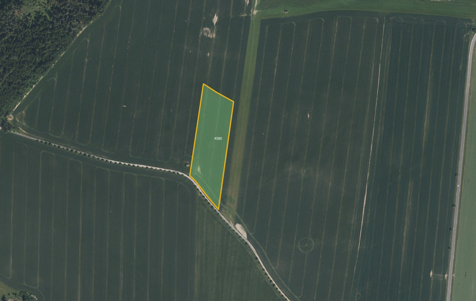 Prodej pole 74 956 m² – fotografie 3