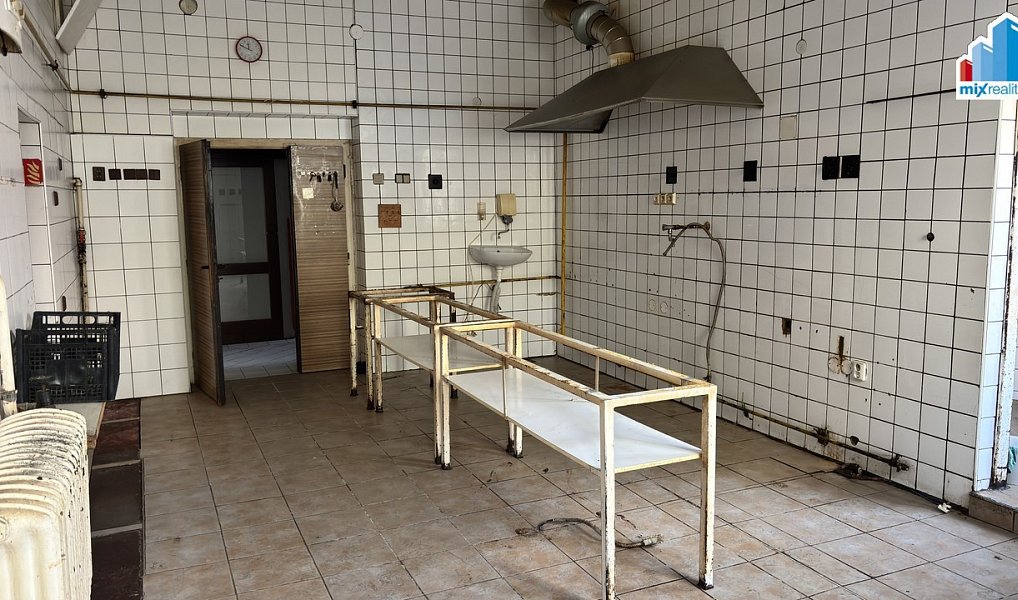 Prodej komerčního objektu (jiného typu) 600 m², Kralovice – náhled fotky 21