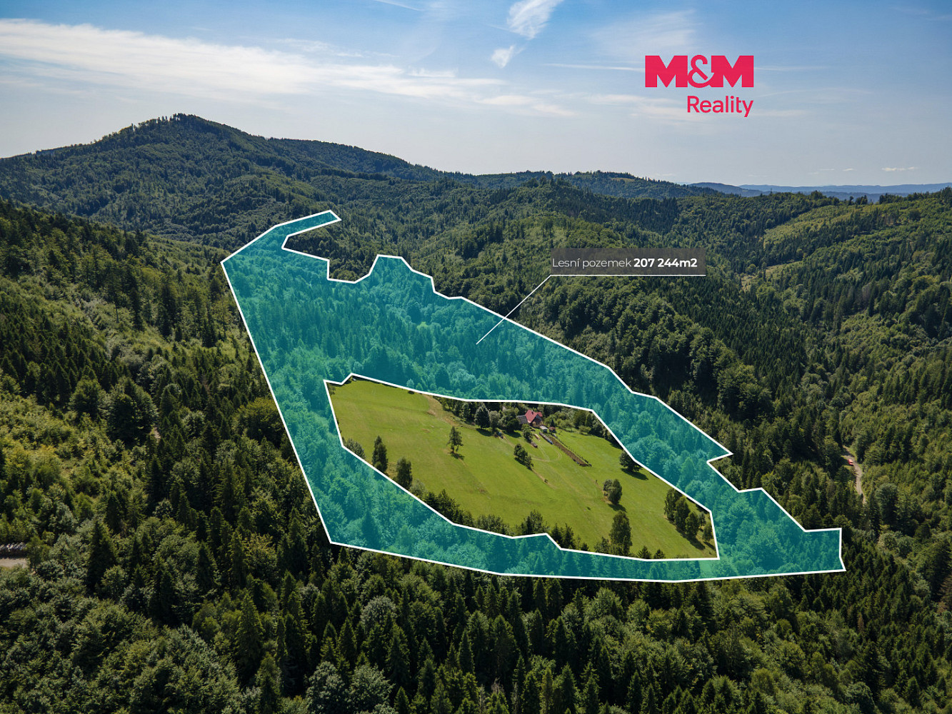 Prodej lesa 207 244 m²