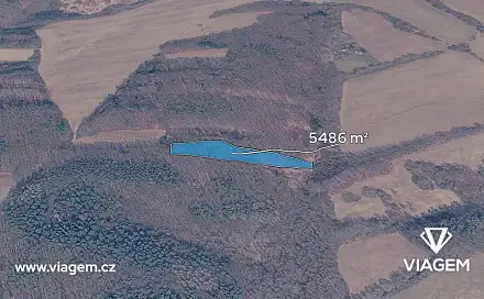 Prodej lesa 1 828 m², Březůvky, okres Zlín