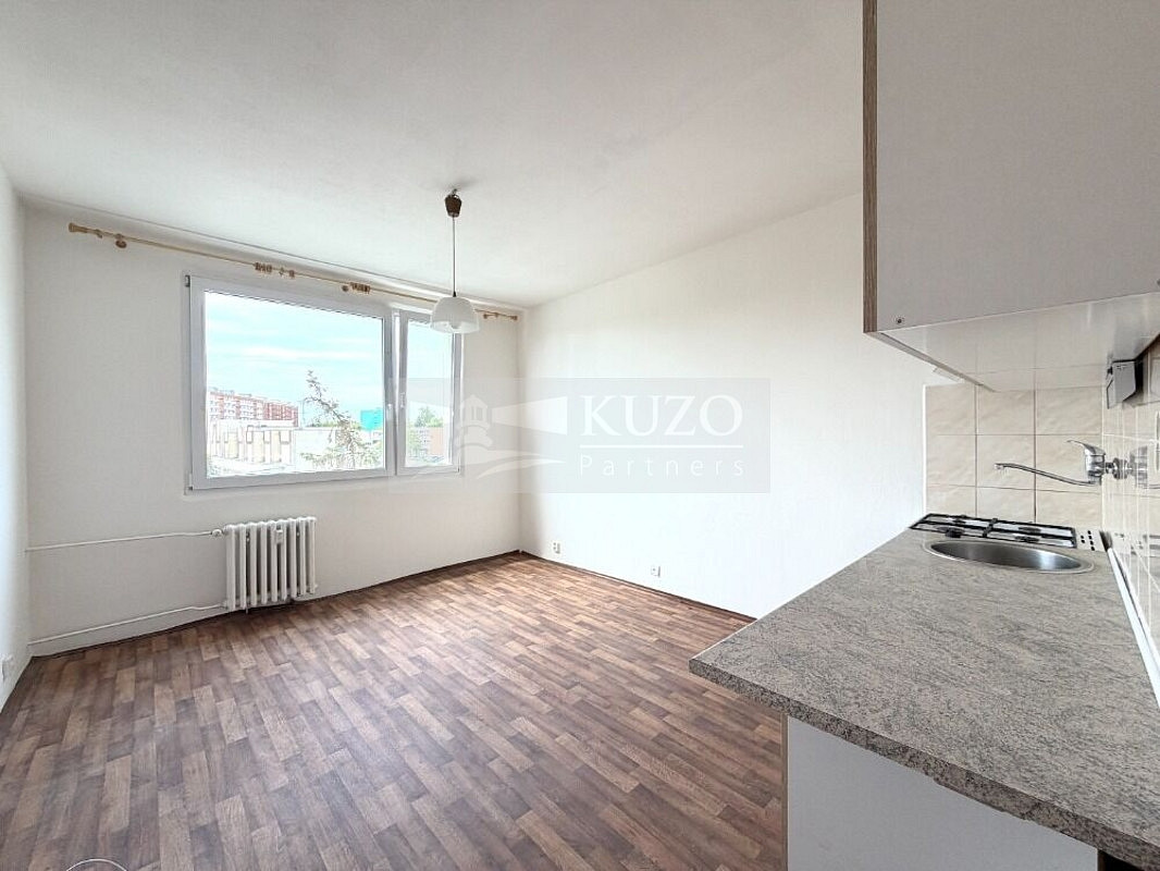 Pronájem bytu 1+1 36 m² — photo 3