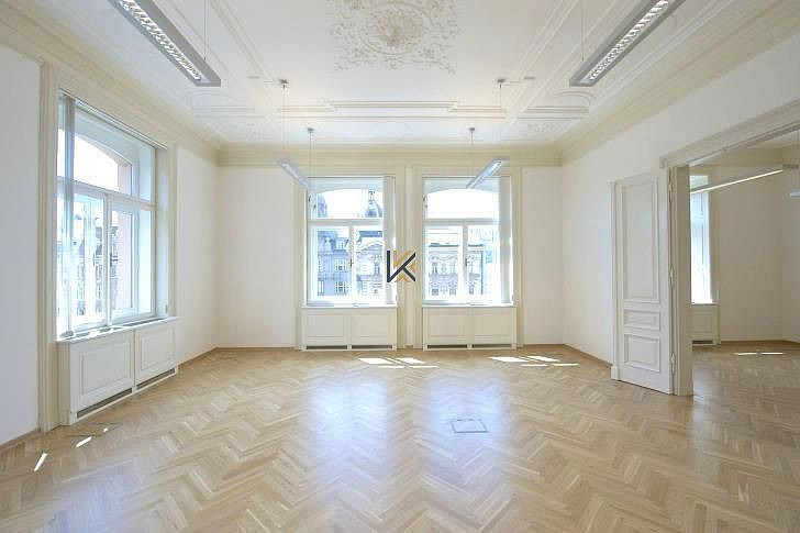Pronájem kanceláře 466 m² – fotografie 3