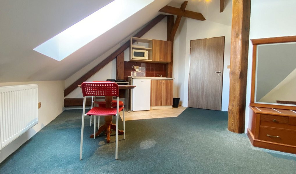 Pronájem bytu 1+kk 25 m², Jindřichův Hradec – náhled fotky 2