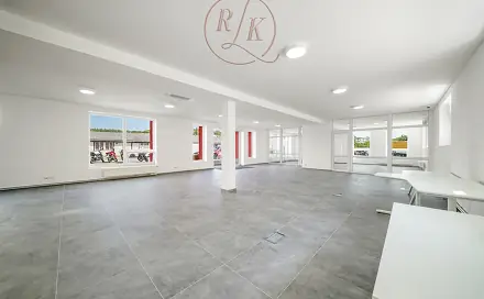 Pronájem obchodních prostor 198 m², Dusíkova, Brno - Lesná