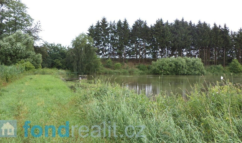 Prodej pozemku 4 992 m², Třebařov – náhled fotky 3