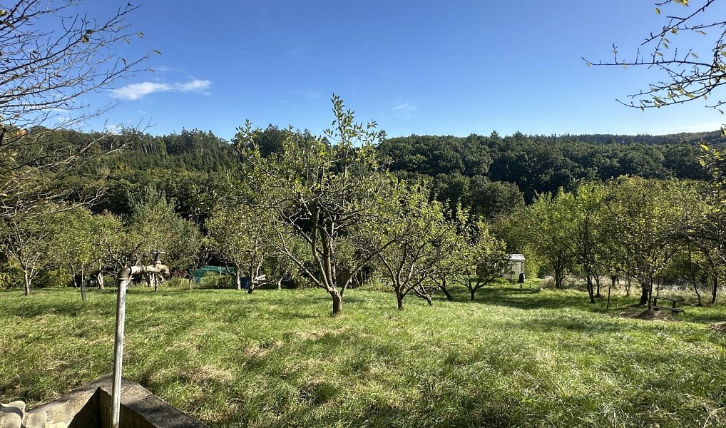 Prodej zahrady 554 m², Zlín – náhled fotky 9