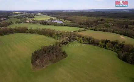 Prodej lesa 7 342 m², Borohrádek, okres Rychnov nad Kněžnou