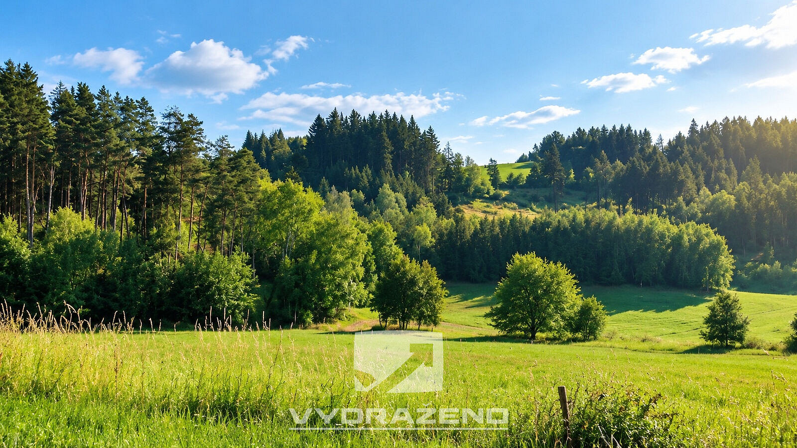 Prodej louky 3 946 m²