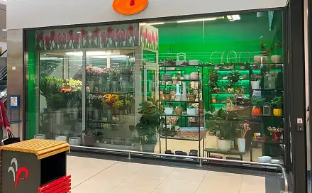 Pronájem obchodních prostor 39 m², náměstí Svobody, Teplice