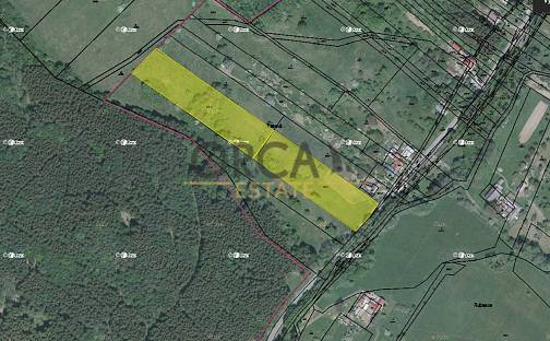 Prodej pole 6 164 m², Lopeník, okres Uherské Hradiště