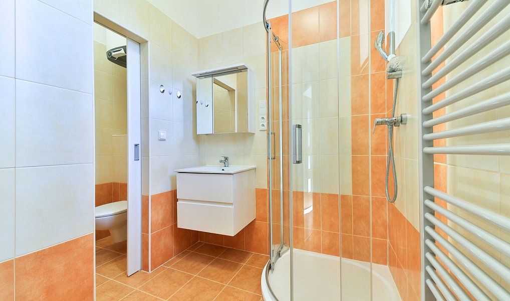 Pronájem bytu 3+1 56 m², Mariánské Lázně – náhled fotky 17