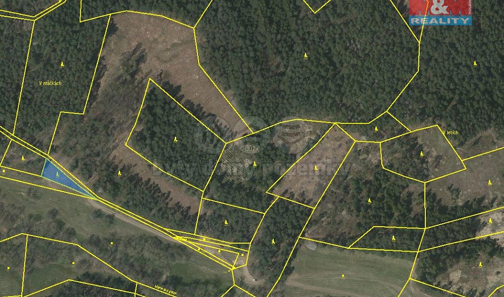 Prodej lesa 26 262 m², Přechovice – náhled fotky 3