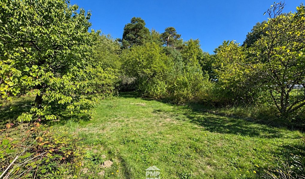 Prodej domu 138 m² s pozemkem 2 876 m², Vísky – náhled fotky 31