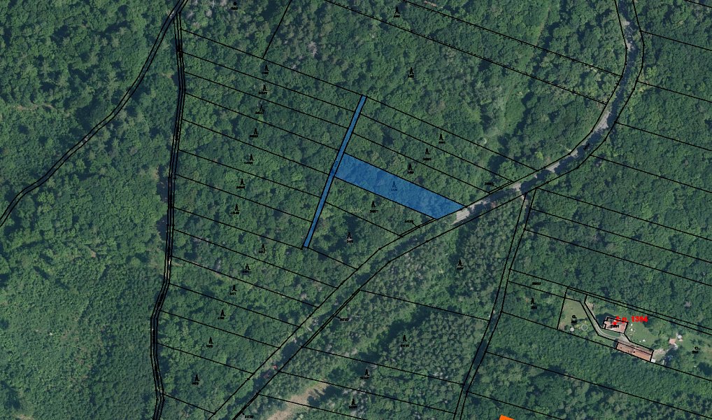 Prodej lesa 235 m², Brno – náhled fotky 3