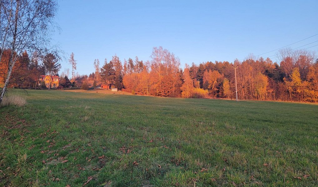 Prodej louky 6 834 m², Železný Brod – náhled fotky 10