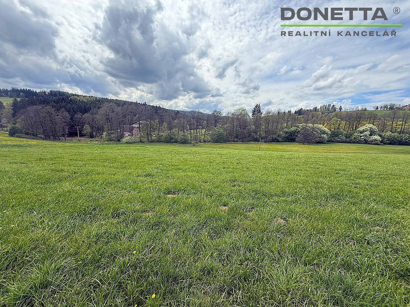 Prodej louky 17 174 m² – fotografie 5