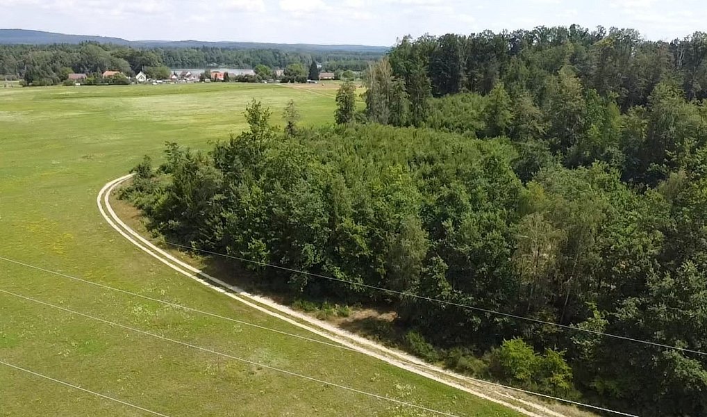 Prodej pole 130 000 m², Chlum u Třeboně – náhled fotky 4