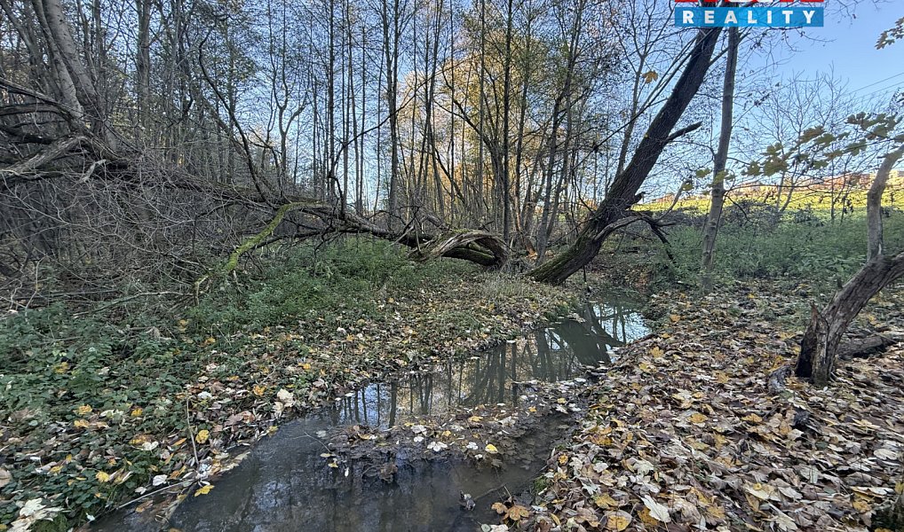 Prodej lesa 1 901 m², Velká Polom – náhled fotky 8