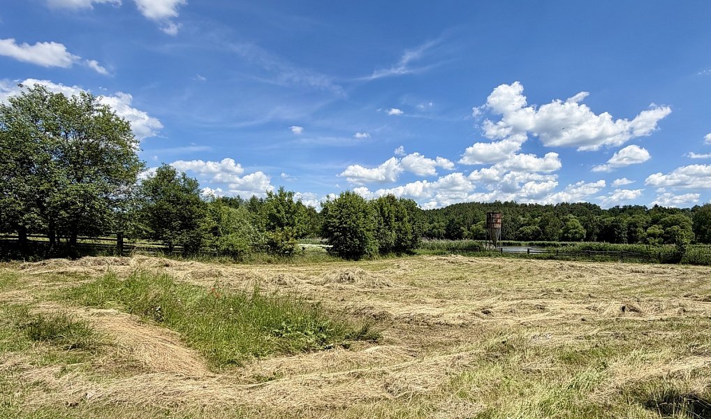 Prodej zemědělského objektu 421 m², Týnec nad Sázavou – náhled fotky 37