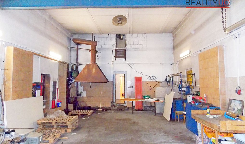 Prodej výrobních prostor 190 m², Ostrov – náhled fotky 7