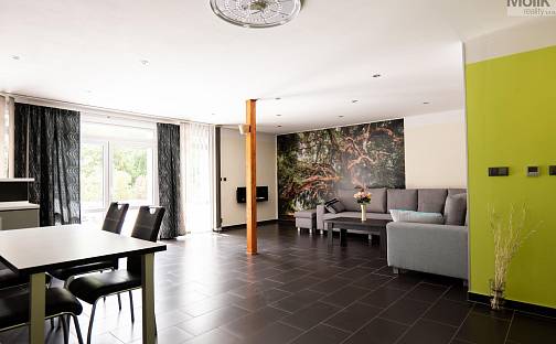 Pronájem domu 500 m² s pozemkem 1 519 m², Skršín, okres Most
