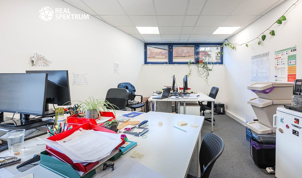 Prodej nájemního domu, činžáku 915 m², Brno – náhled fotky 12