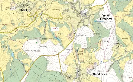 Dražba lesa 5 461 m², Velký Ořechov