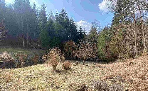 Prodej pozemku 858 m², Rokytnice v Orlických horách, okres Rychnov nad Kněžnou