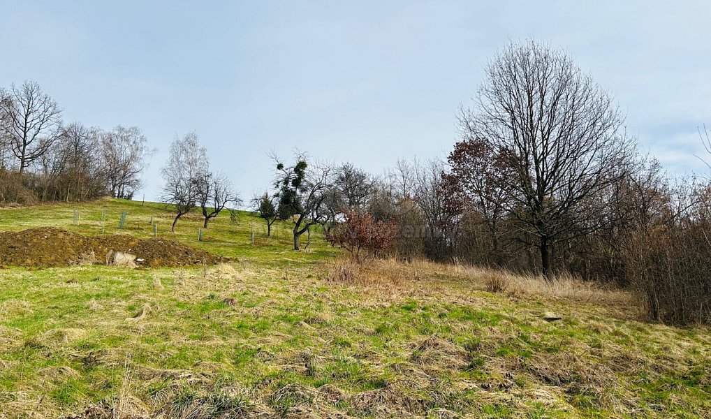 Prodej stavebního pozemku 3 092 m², Valašské Meziříčí – náhled fotky 7
