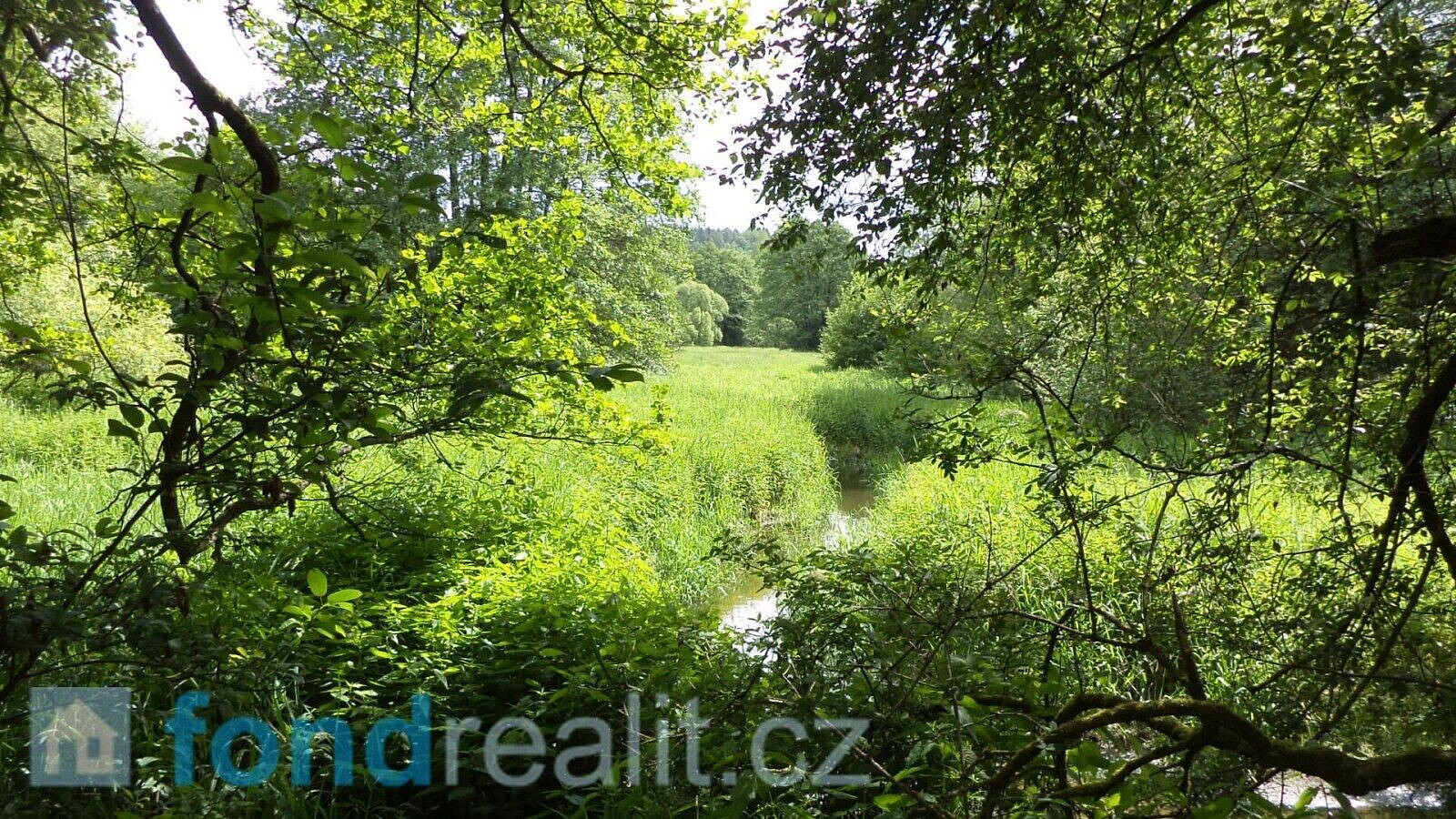 Prodej pole 3 859 m²