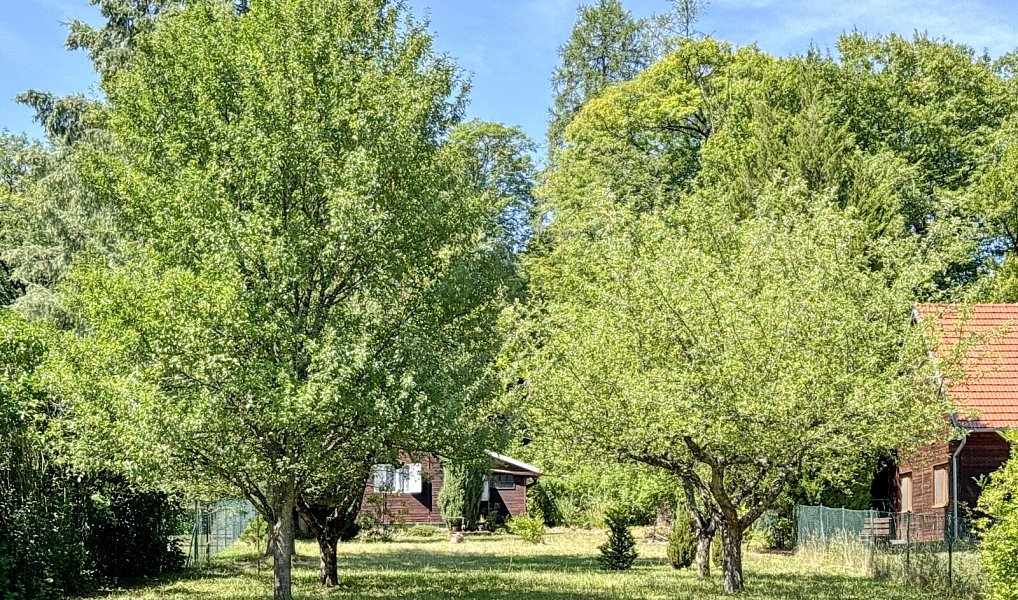 Prodej chaty/chalupy 63 m² s pozemkem 900 m², Ochoz u Brna – náhled fotky 3
