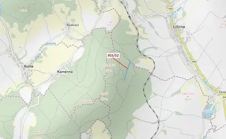 Dražba lesa 12 014 m², Libina