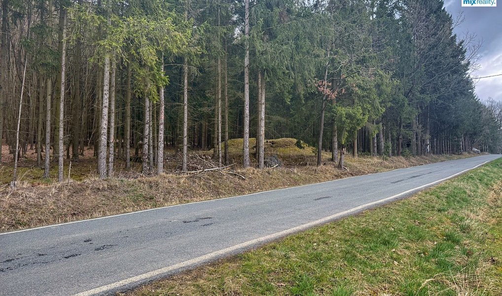 Prodej stavebního pozemku 1 962 m², Příchovice – náhled fotky 8