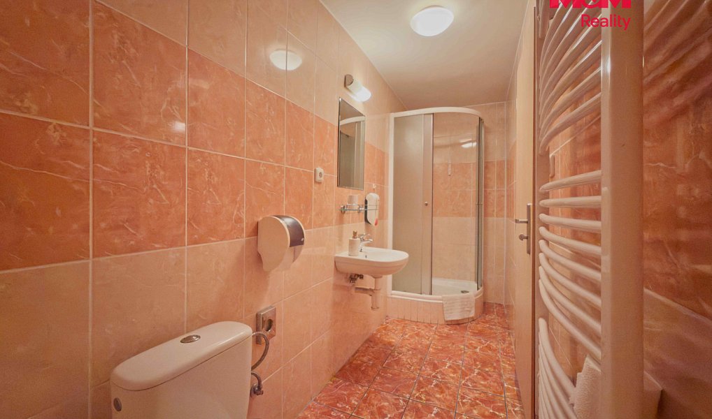 Prodej ubytovacího objektu 650 m², Karviná – náhled fotky 19