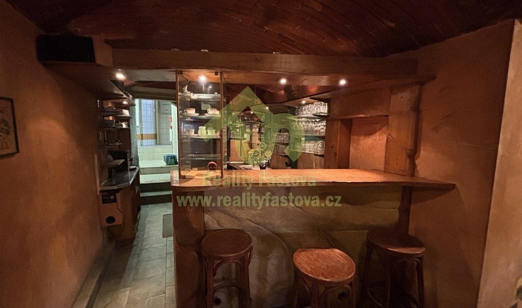Prodej domu 776 m² s pozemkem 192 m², Plzeň – náhled fotky 30