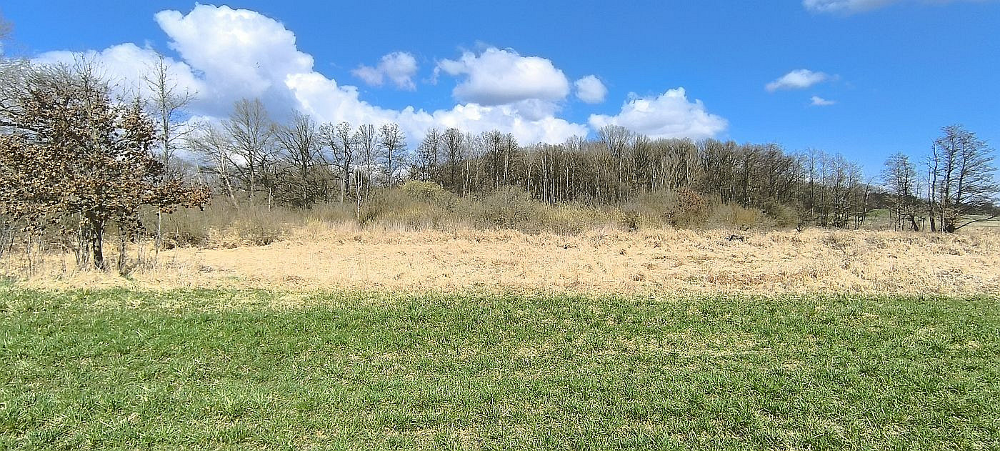 Prodej pole 7 083 m² – fotografie 4