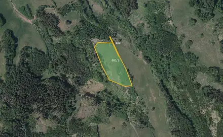 Prodej louky 20 084 m², Čistá u Horek, okres Semily