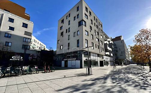 Pronájem bytu 3+kk 282 m², Jantarová, Ostrava - Moravská Ostrava