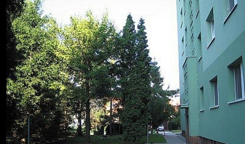 Ostatní