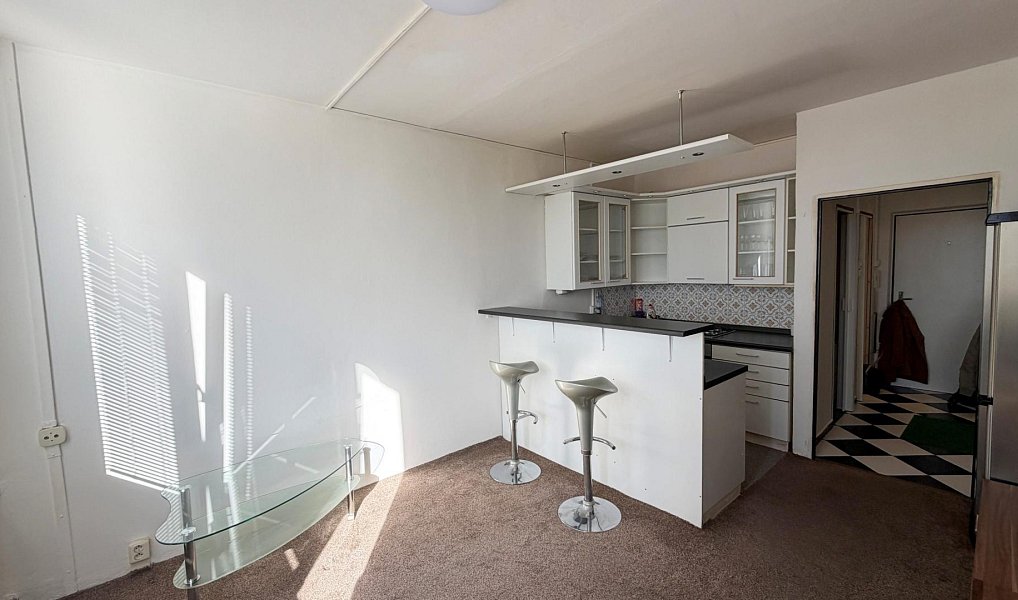 Pronájem bytu 1+kk 24 m², Praha – náhled fotky 4