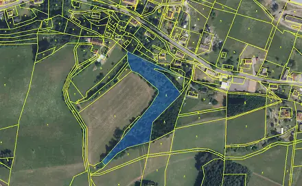 Prodej lesa 9 121 m², Bukovina u Čisté - Dražeň