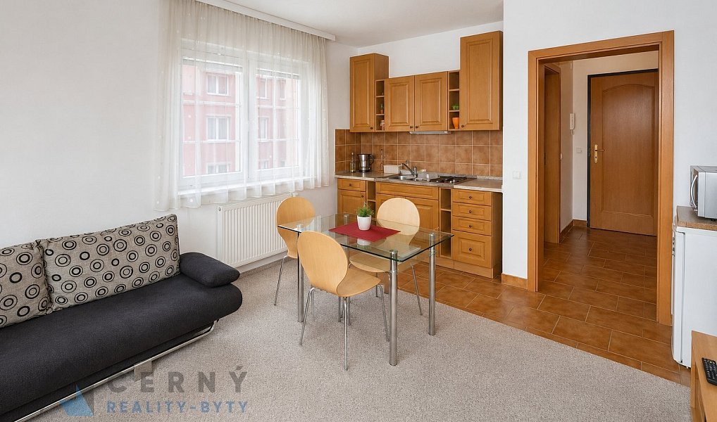 Pronájem bytu 1+kk 28 m², Liberec – náhled fotky 3