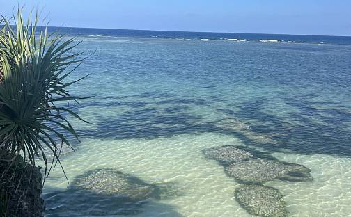 Prodej domu 216 m² s pozemkem 446 m², Zanzibar, Tanzánie