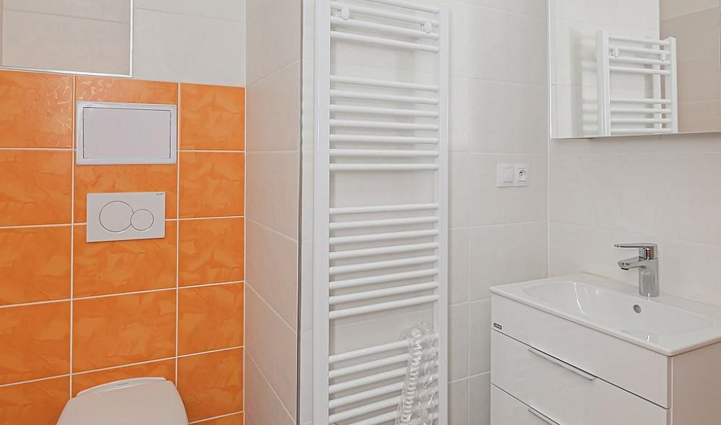 Pronájem bytu 2+kk 46 m², Hradec Králové – náhled fotky 11