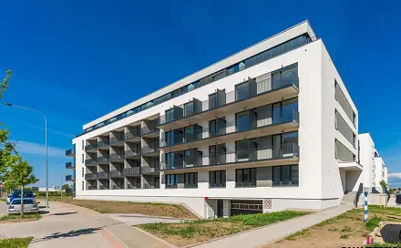 Prodej bytu 1+kk 32 m², Železná, Plzeň - Jižní Předměstí