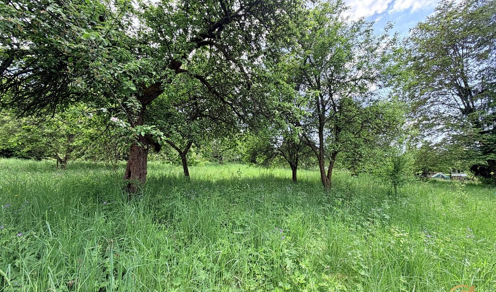 Prodej domu 290 m² s pozemkem 3 795 m², Bozkov – náhled fotky 7